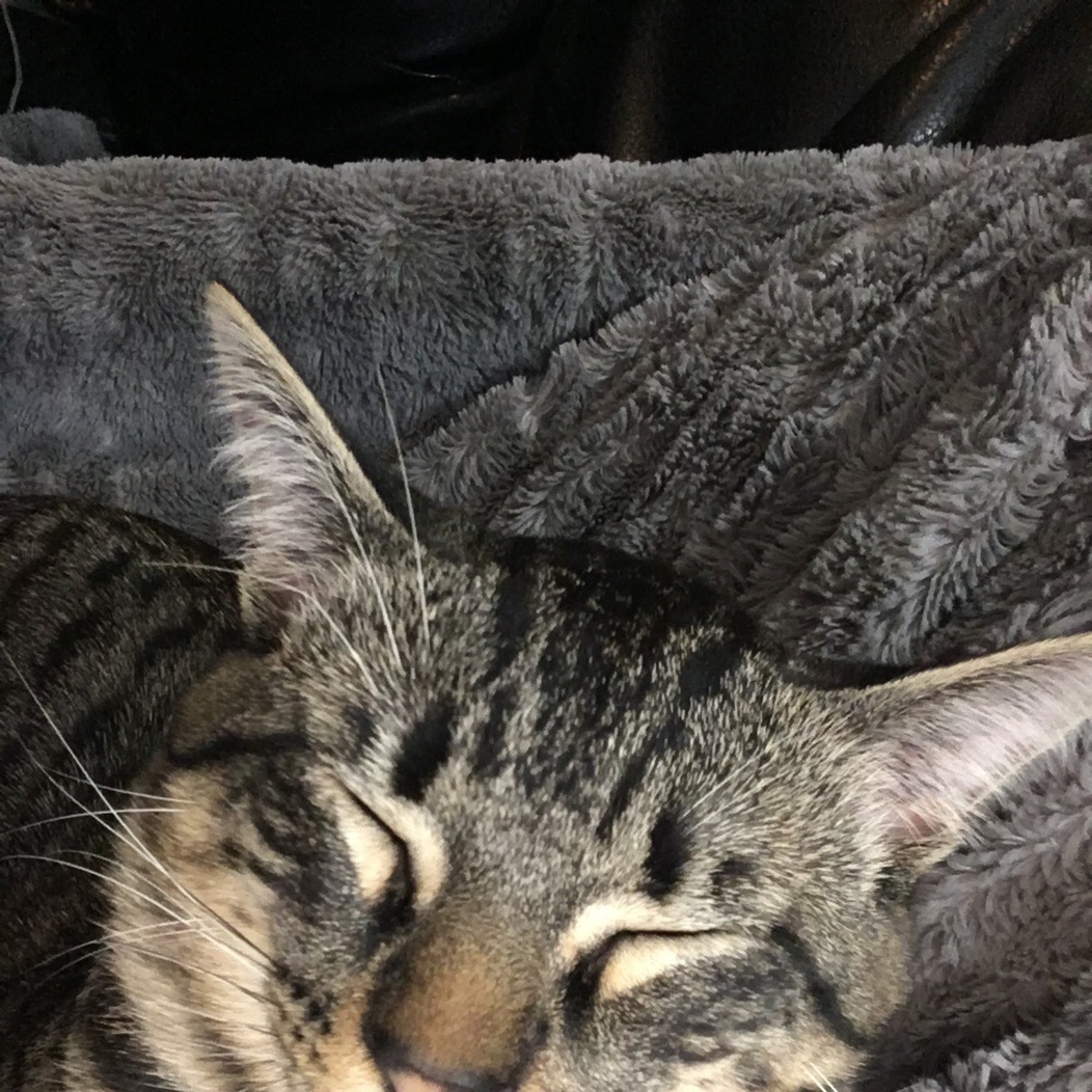 Meet your Posher, Macy
